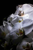 Ring 3