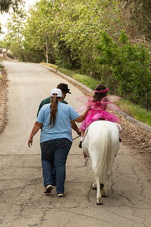 Pony Pictures with Lori 106