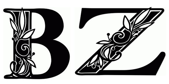 BZ Sillo