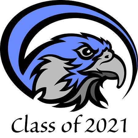 1 Falcon-Logo-2021
