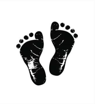 Newborn Feet